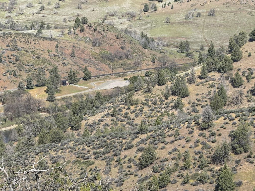 Picture 10