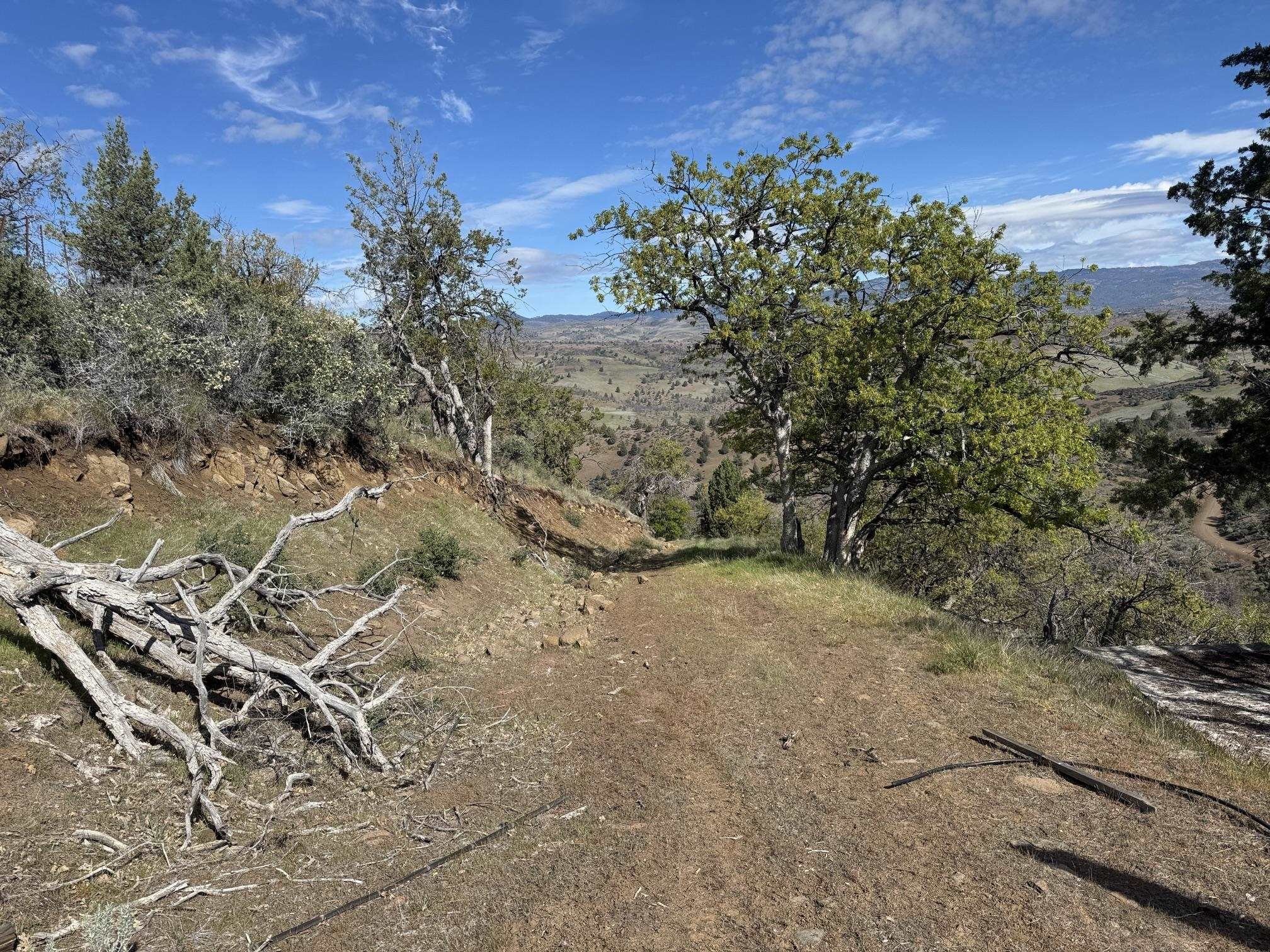Land with 360 Degree Views