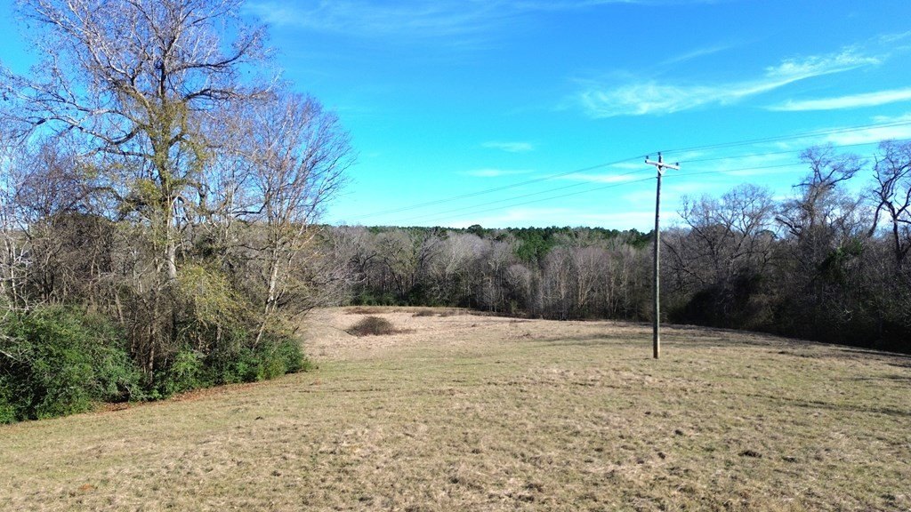 Picture 13