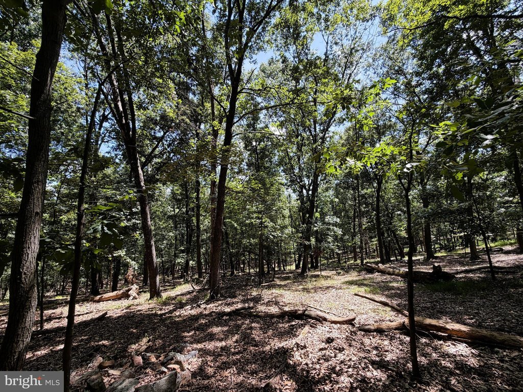 Picture 18