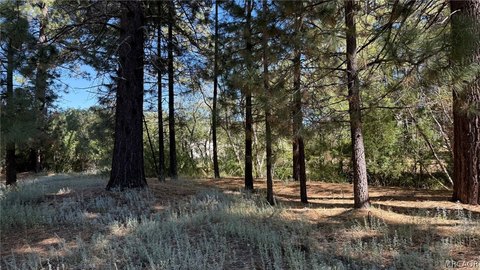 Land, Big Bear Lake, CA