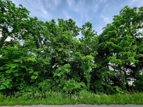 Residential Land in Northbrook Estates
