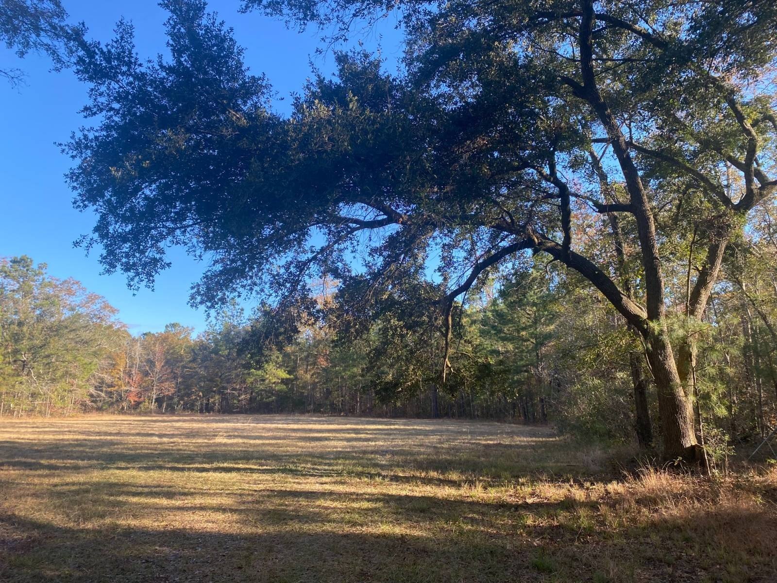 Land in Quiet Country Setting