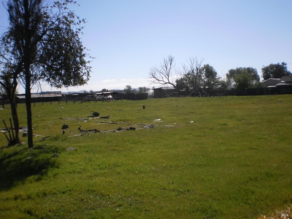 Picture 8