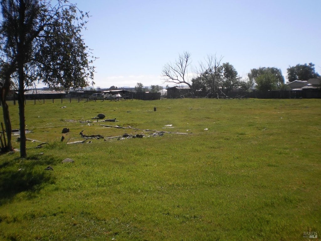 Picture 4