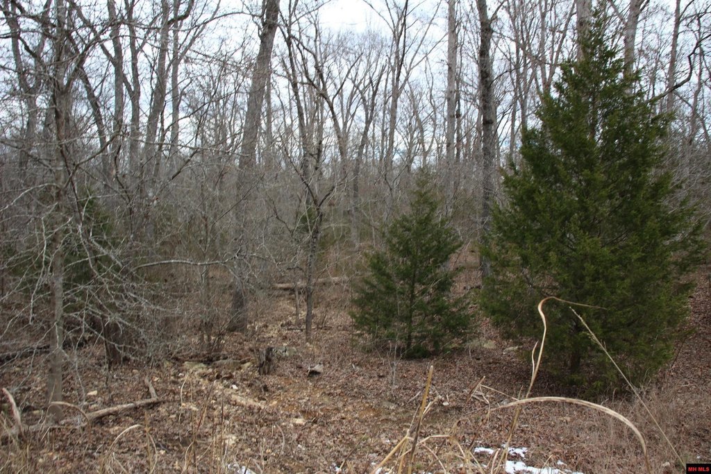 Picture 3