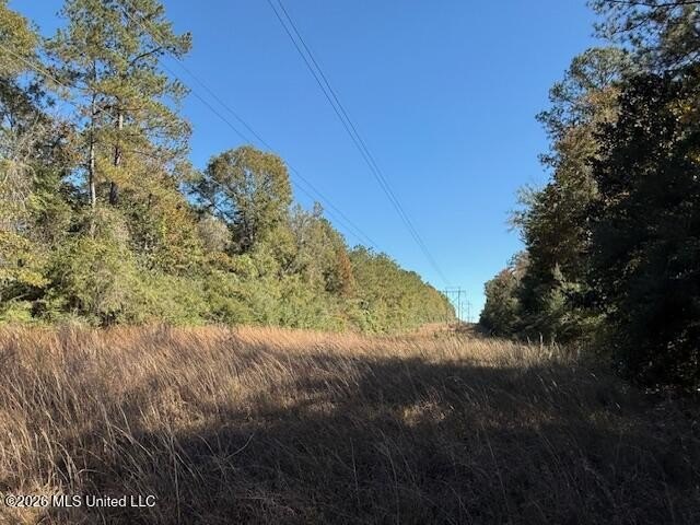 Wooded Land in Franklinton, LA