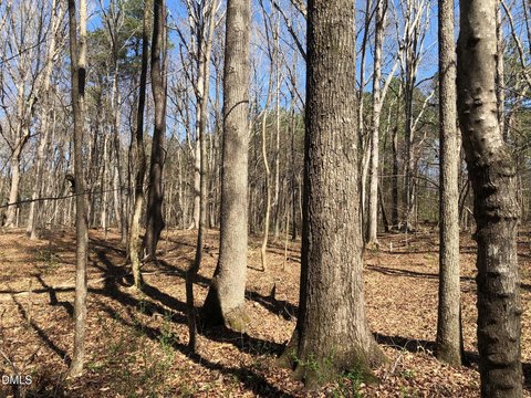 Large Homesite Near Downtown Pittsboro