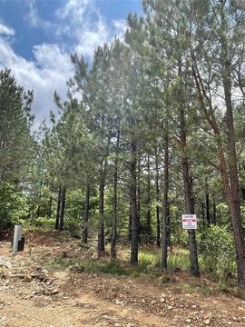 LAND - Broken Bow, OK