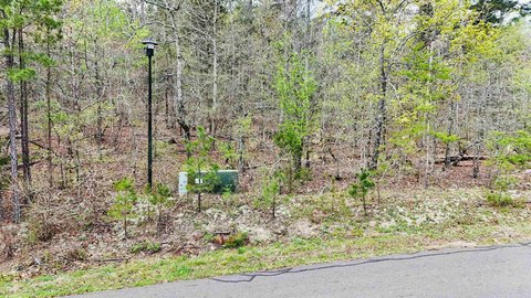 Hot Springs Village Wooded Lot
