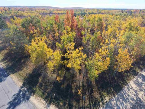 Lots/Land, Elmira, MI