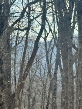 Vacant Lot, Blue Ridge, GA