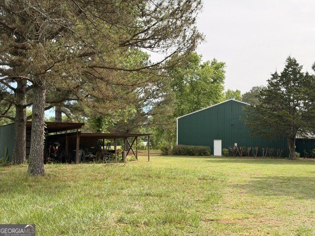 Picture 5