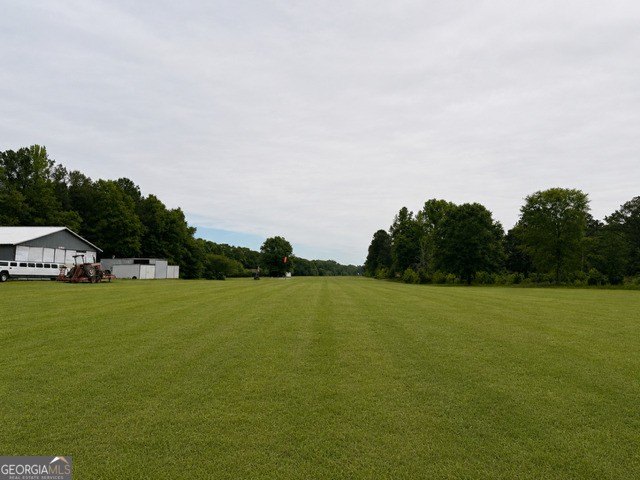 Picture 3