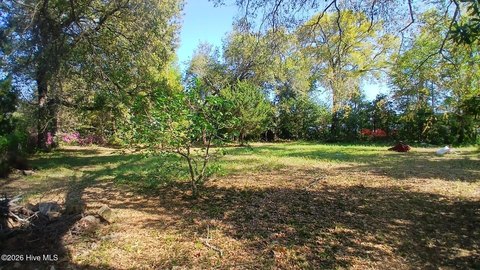 Residential Land Near Downtown