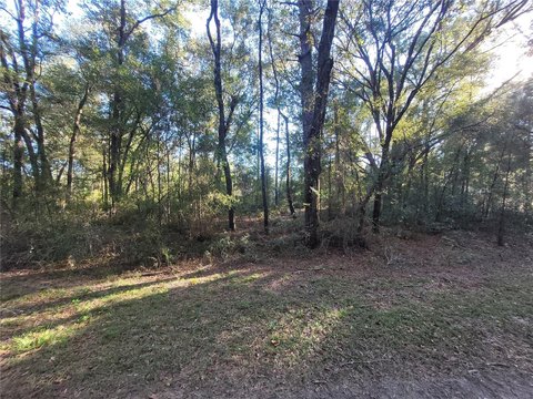 Land, OCALA, FL