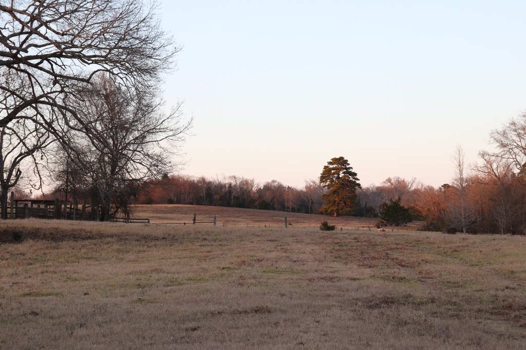 Picture 19