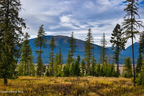Land, Bonners Ferry, ID