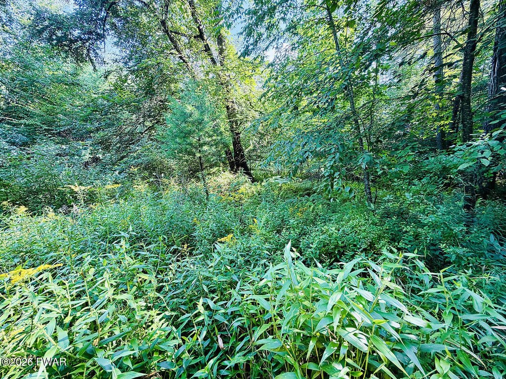 Picture 33