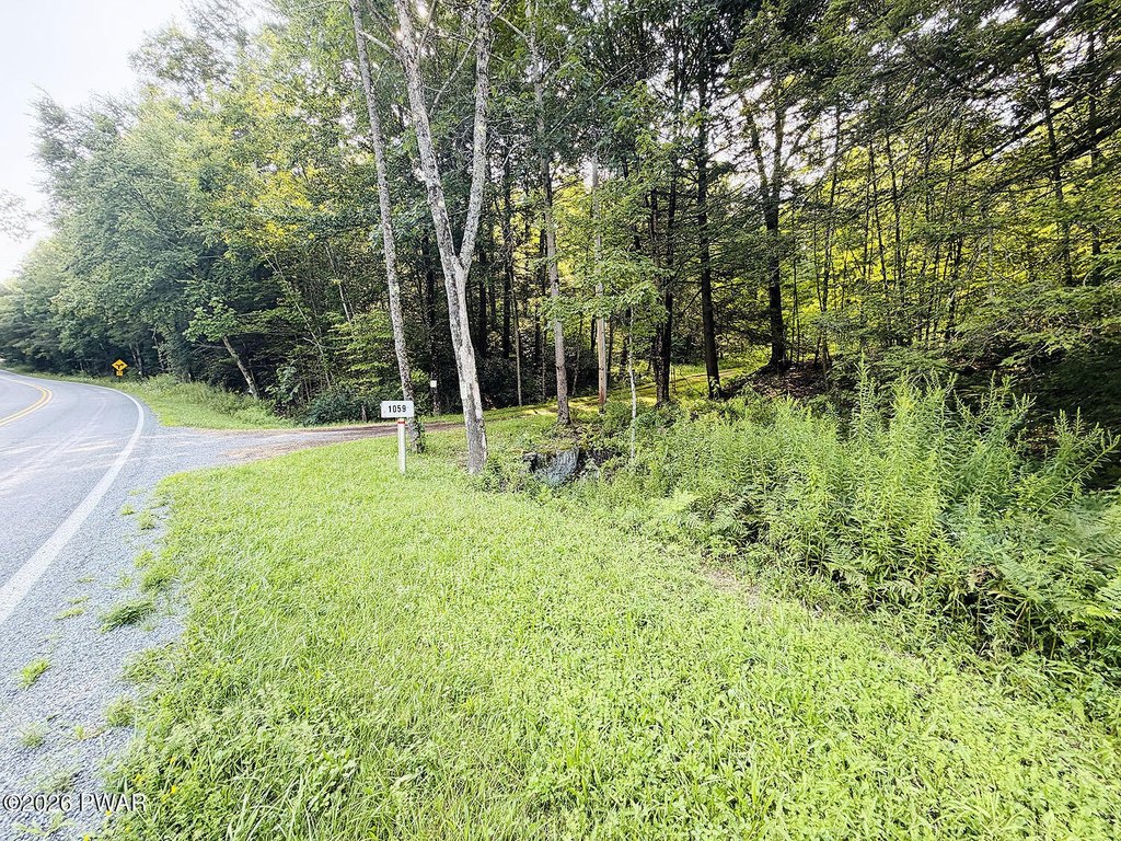 Picture 23