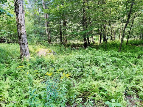 LAND - Damascus, PA