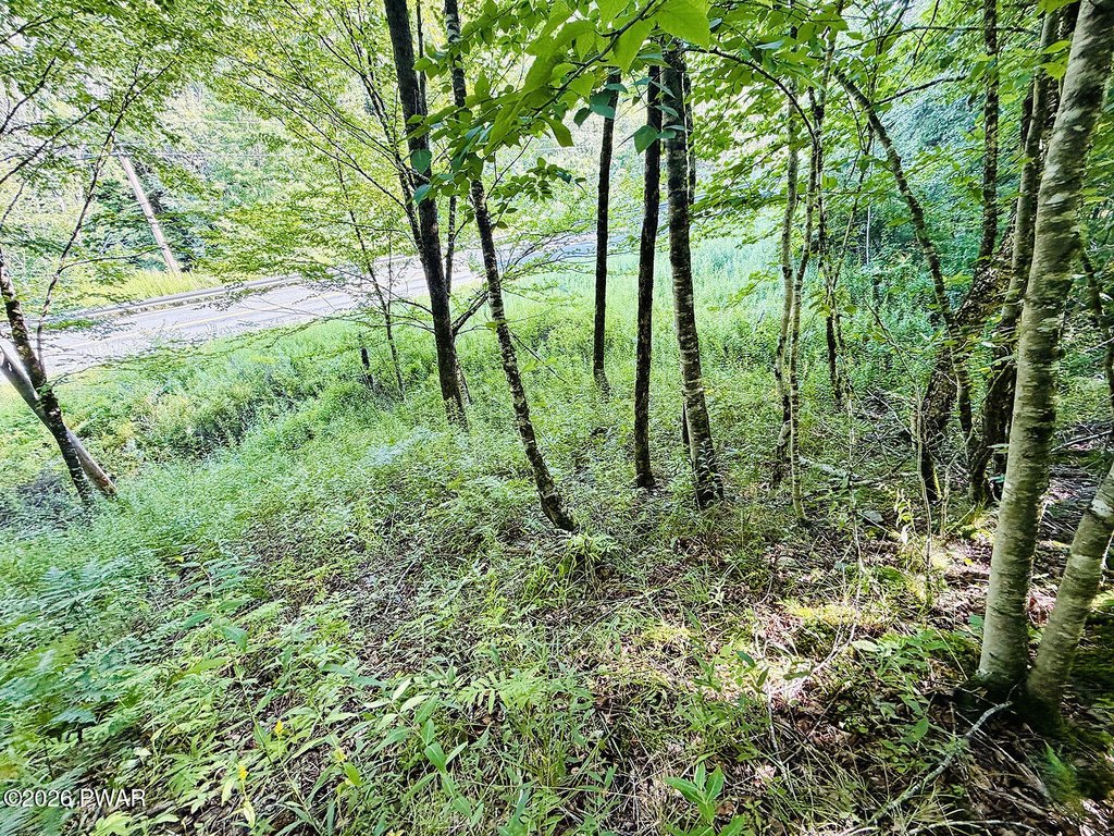 Picture 18