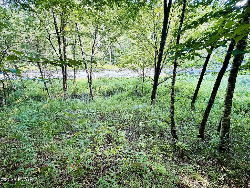 Picture 17