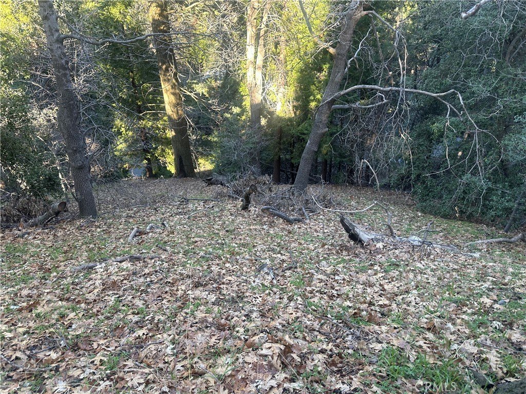 Picture 13