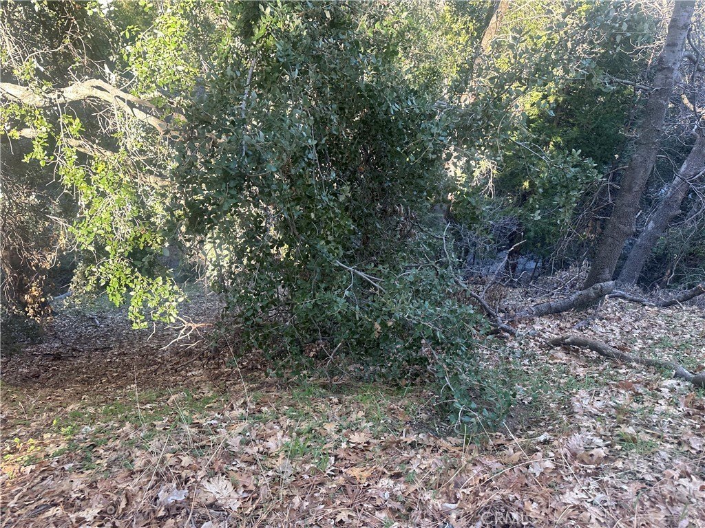 Picture 14