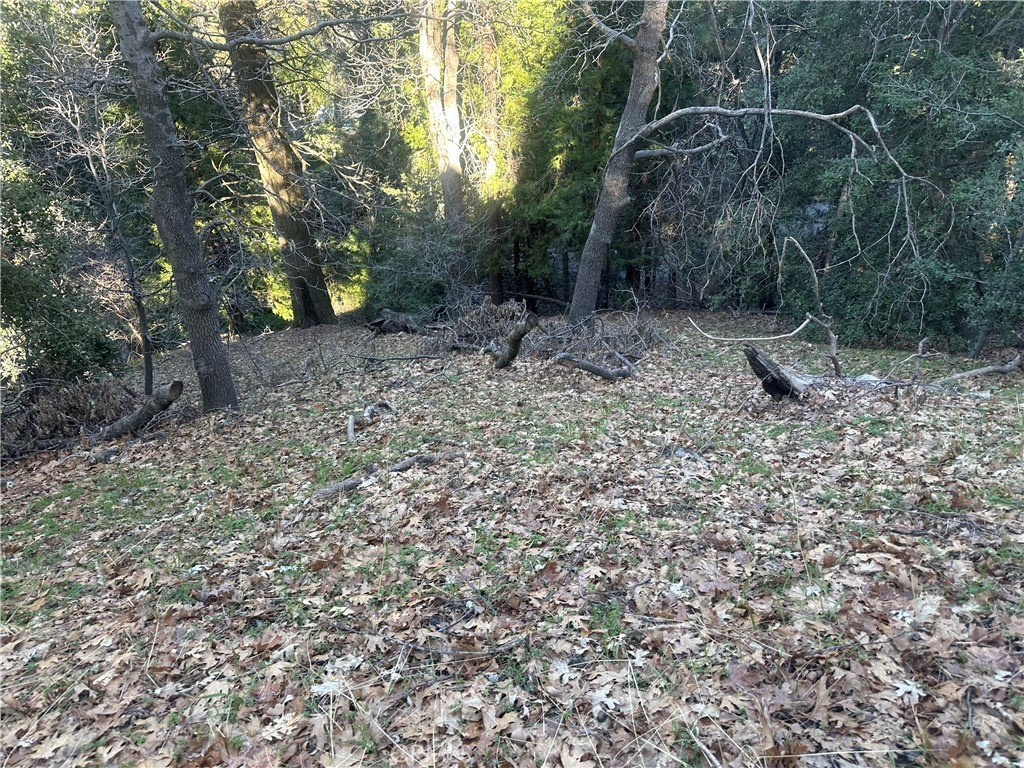 Picture 16