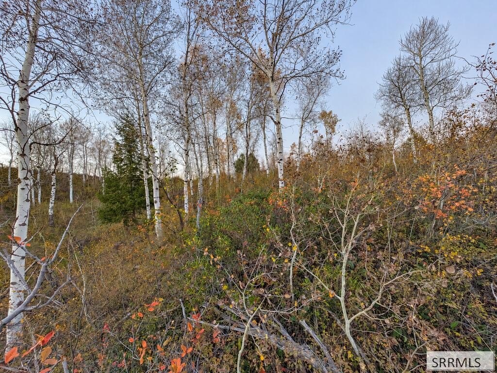 Picture 7