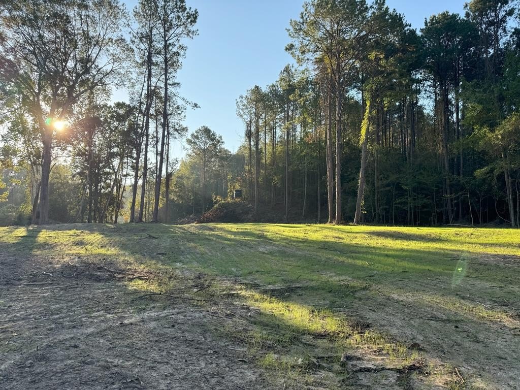 296 Acres of Prime Timberland