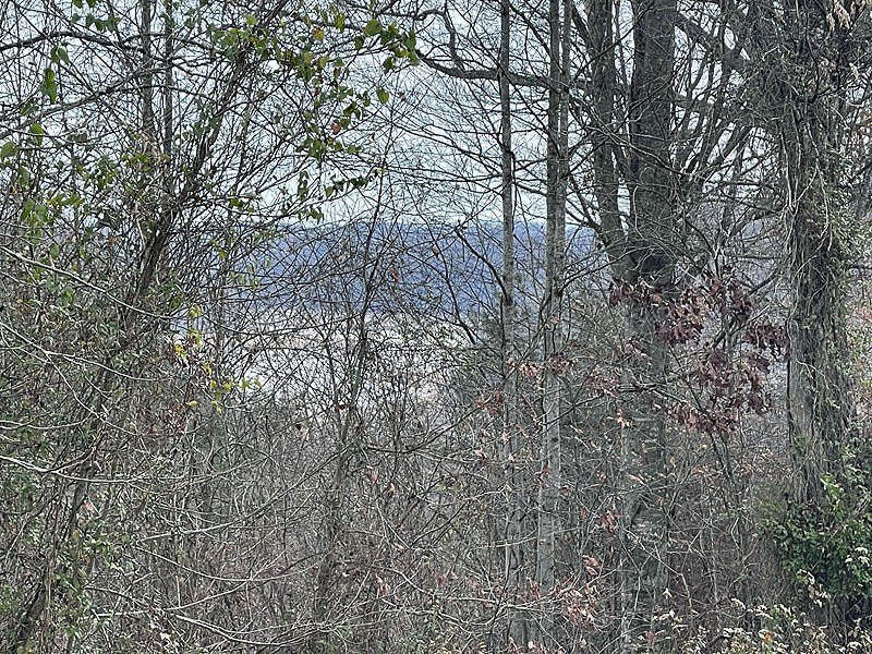 Lakefront Land in Gated Community