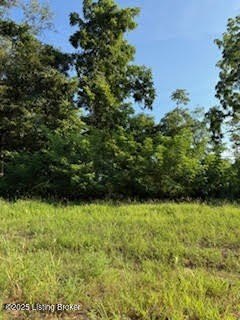 Wooded Lot in Sycamore Run