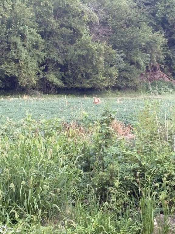 Picture 8