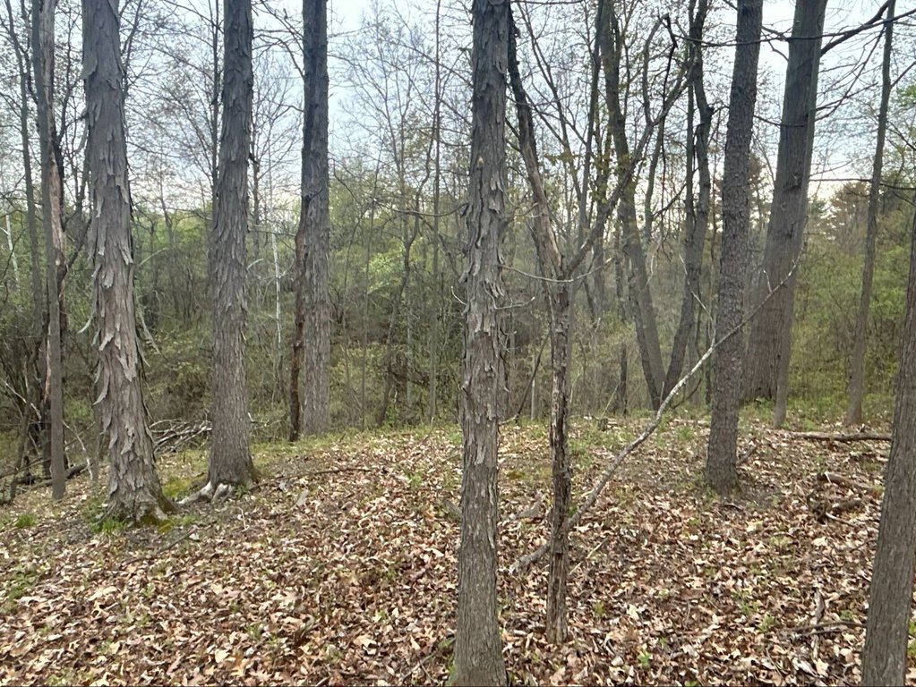Picture 19