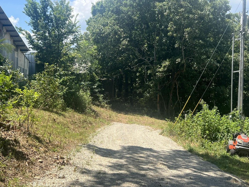 Picture 3