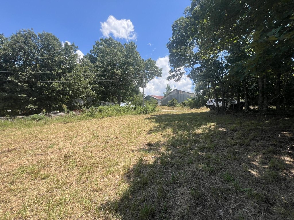 Picture 26