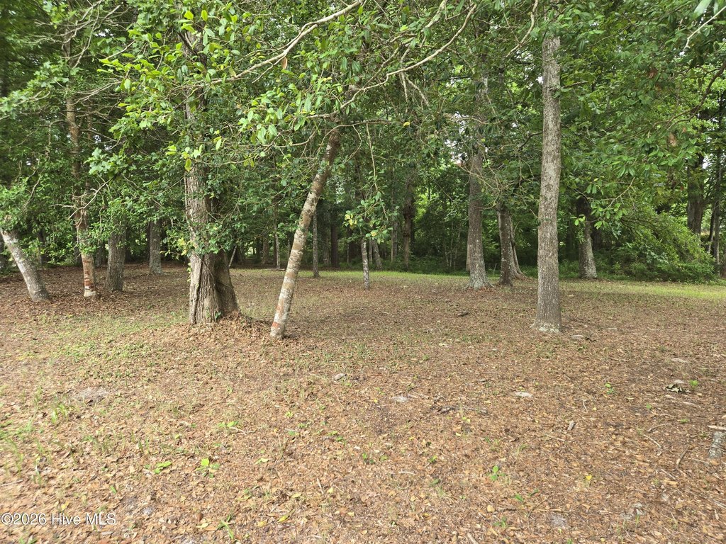 Picture 8
