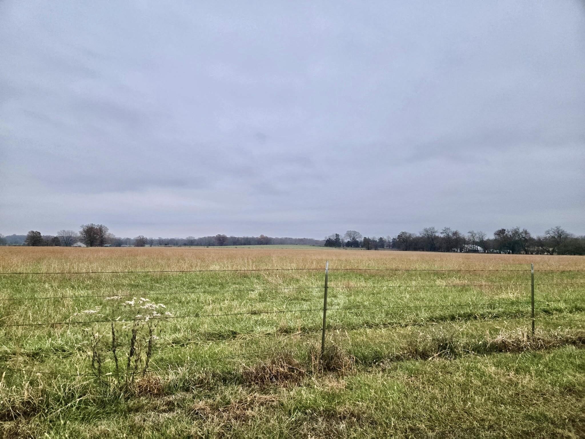 Land Near Pomme De Terre