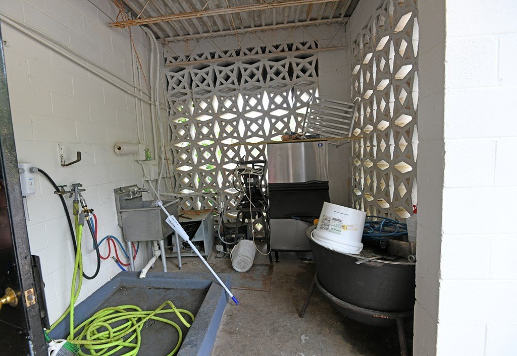 Picture 48