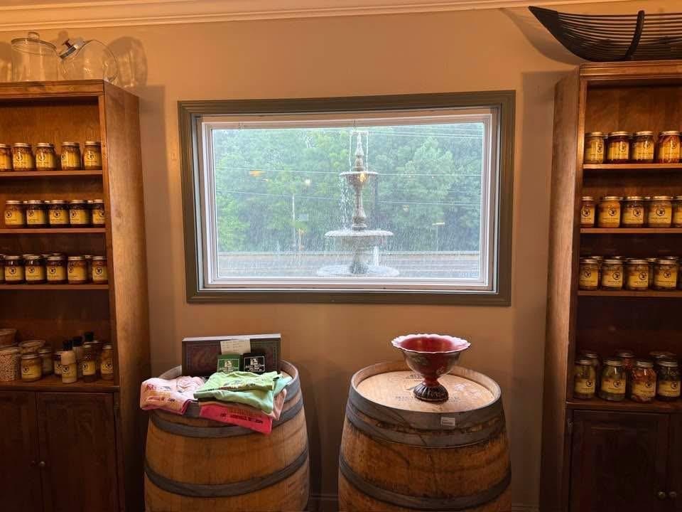 Picture 25