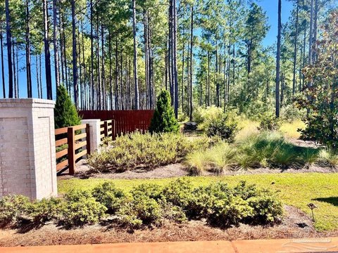 Heavily Wooded Homesite Ready For Building