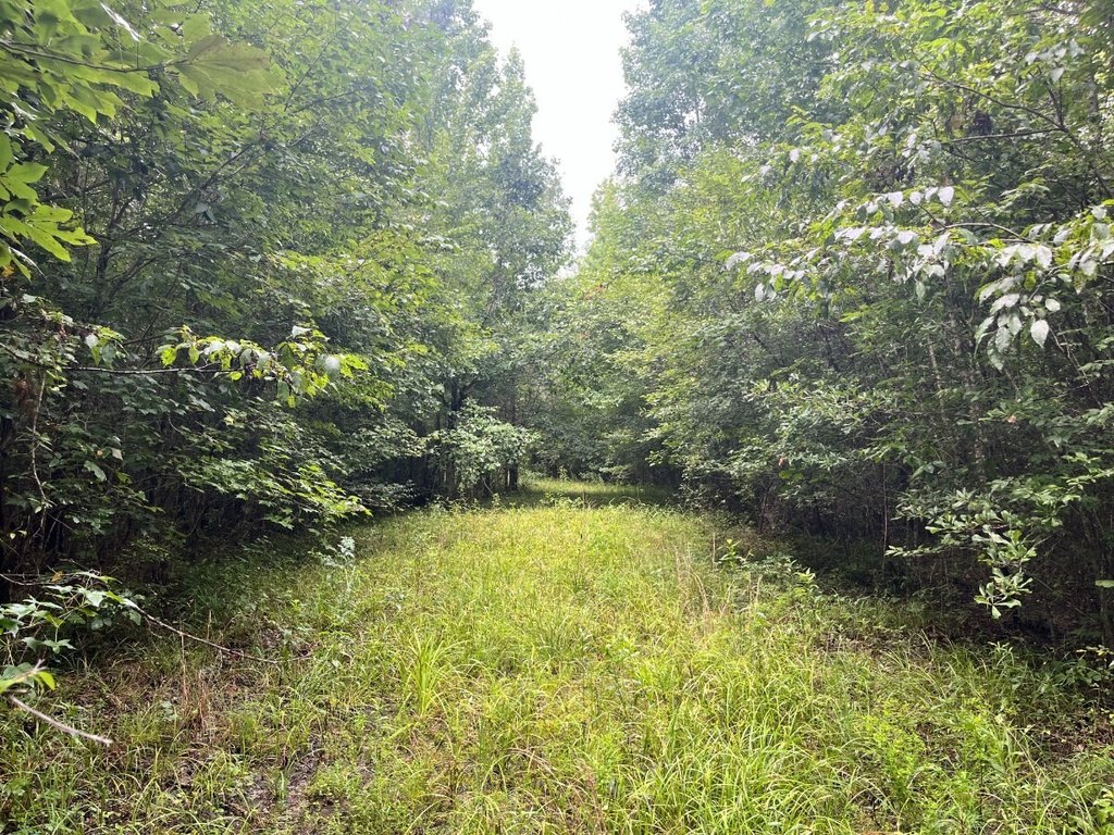 Picture 3