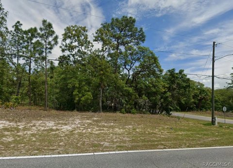 Land, Dunnellon, FL