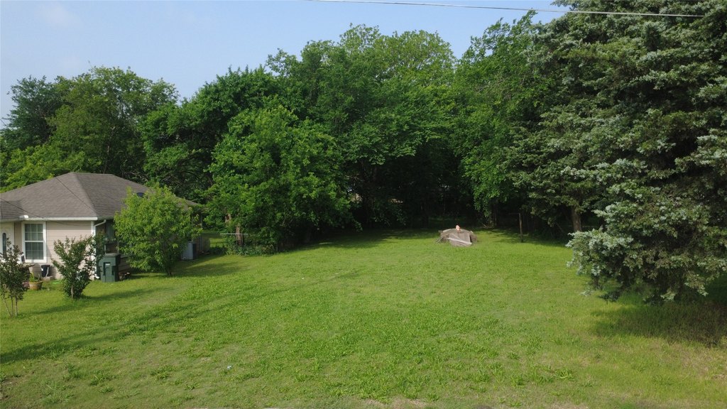 Picture 3