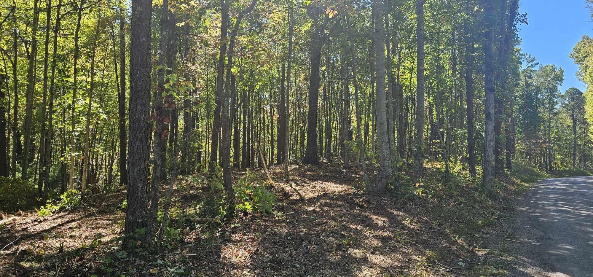 Unrestricted Wooded Acres in Tellico Plains