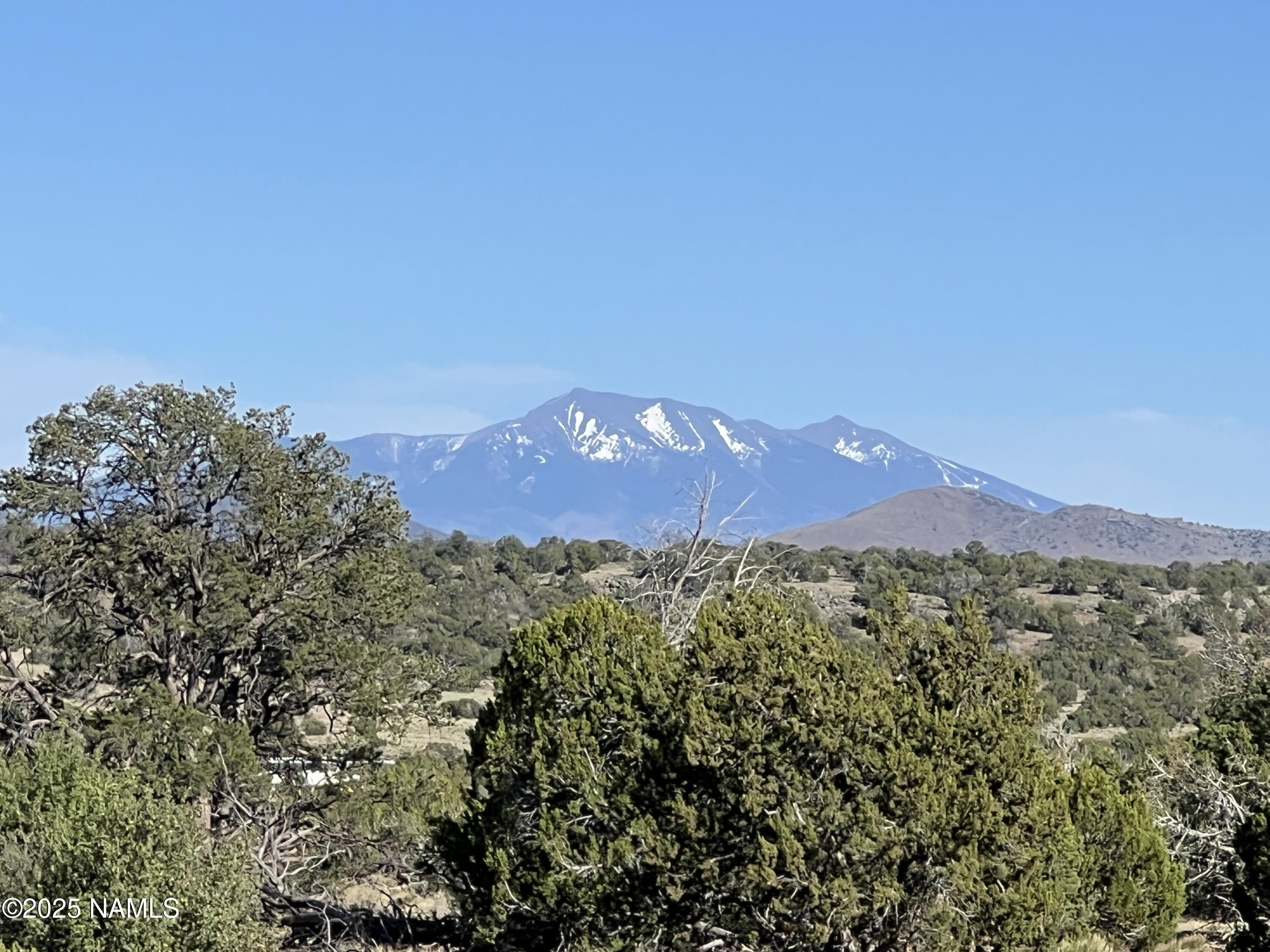 Williams, AZ Land with Views