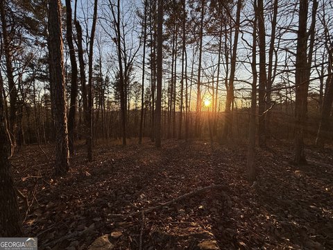 Ranger, GA Mountain View Lot