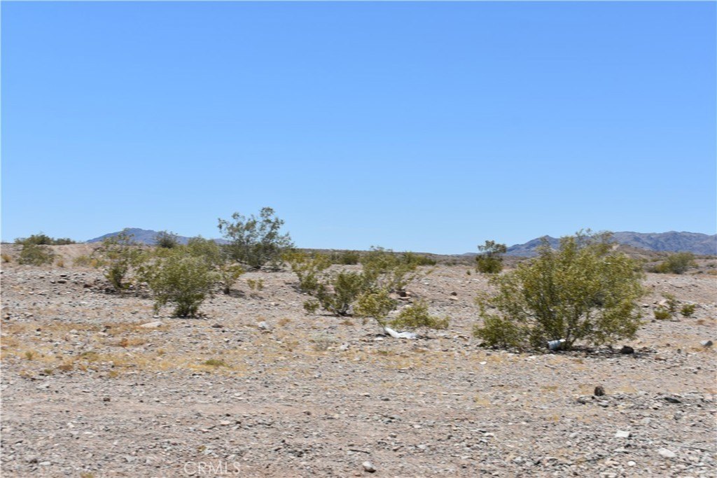 Picture 5